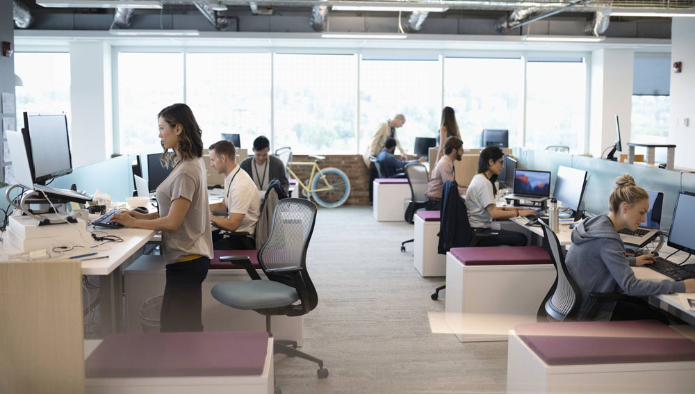 Law firm team working on laptops in an open office